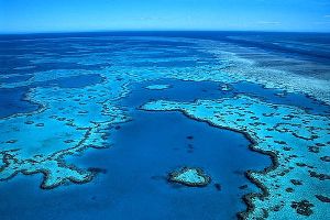 The Great Barrier Reef Is Truly A Special Place