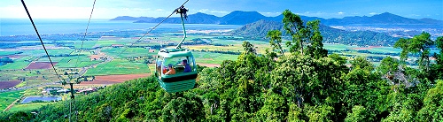 The World Famous Skyrail Cableway Tour