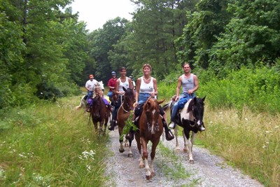 Why Not Let Bohemia Resort Arrange A Relaxing Horse Riding Adventure